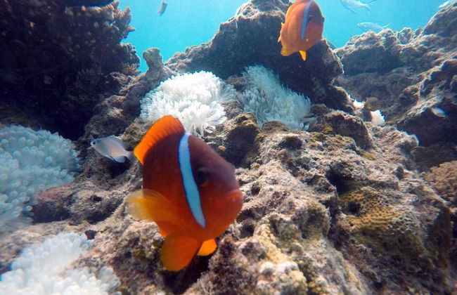 Belle Balise - Photo 15