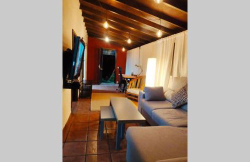 Finca Lomo Grande - Foto 13