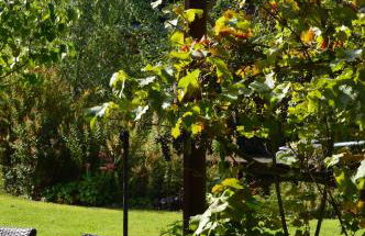 Ferienhaus Eifel - Photo 18