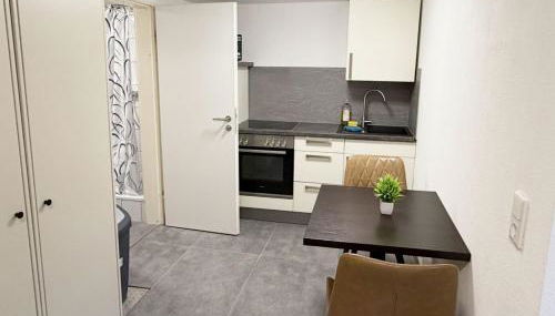 Ferienwohnung in Egelsbach bei Frankfurt am Main - Foto 5, stove