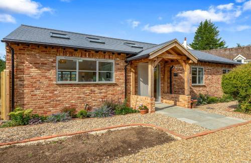 The Wild Bloom - Foto 28