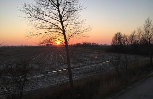 Ferienhaus-Hemmerdeich an der Eider - Foto 14