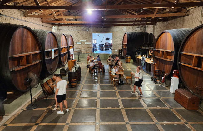 Tour por la zona vitivinícola de Maipú - Foto 8