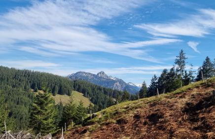 Fewo Gipfelstürmer mit Königscard - Foto 24