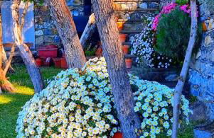 Dependance Belvedere - Foto 51