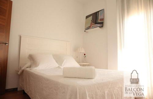 Apartamentos Balcón de la Vega - Foto 17