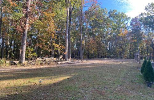 Quiet Forest Vacation home on a Private Road with Spacious Patios, Fire pit, Pet friendly and a Private pool - Foto 12