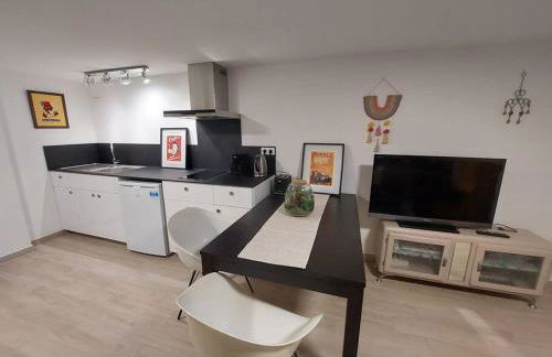 Close to PARIS, at HOUILLES, house within an exotic garden - Foto 7