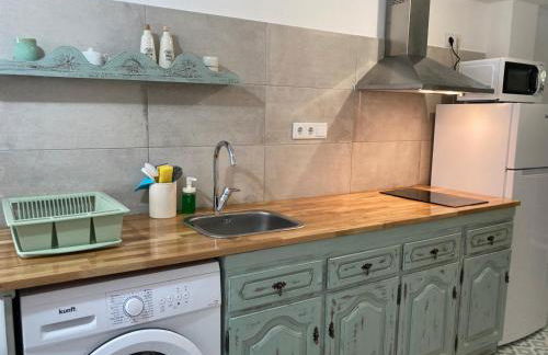 Melro-d' água - Foto 27