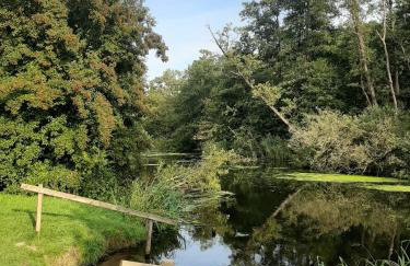 Ferienwohnung Nordlicht - Foto 16