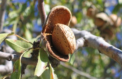 Cortijo La Estrella - Foto 58