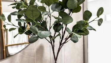 Zoronga home - Photo 5