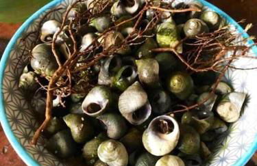 Vacances plages, mer, balades ou GR34 ! - Foto 67