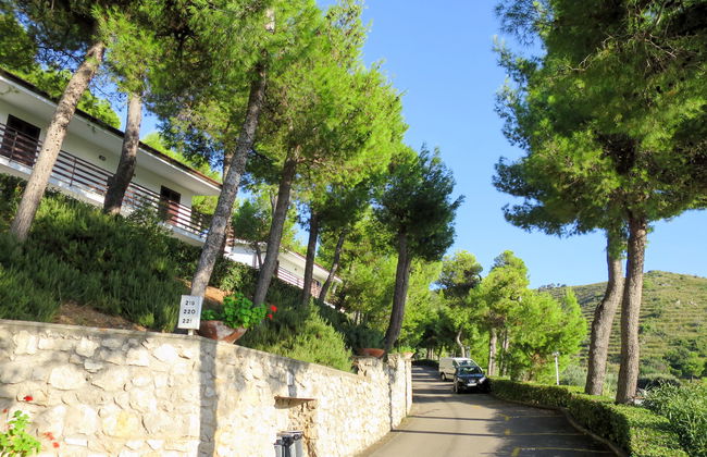 Costa di Kair ed Din - Foto 17