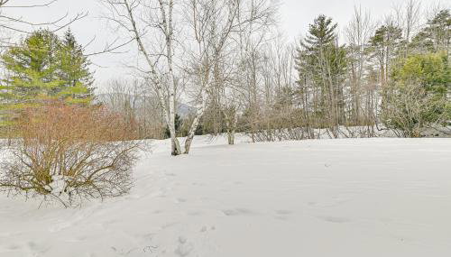 3 Mi to Windham Mountain Pet-Friendly Apt with Yard - Foto 3