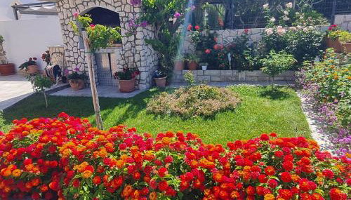 Apartman "Flower Garden" - Foto 5