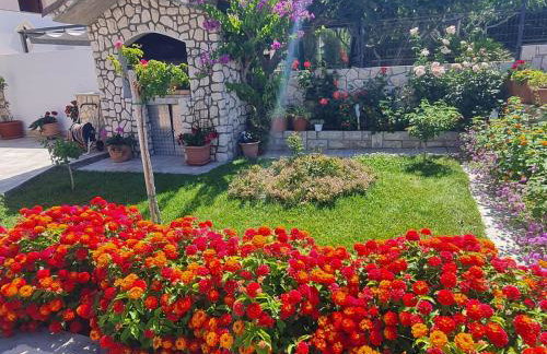 Apartman "Flower Garden" - Foto 5