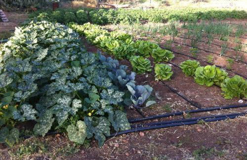 Casa Rural La Longuera de Tirajana - Foto 53