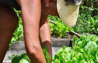 Aldeia Corumbau - Photo 44