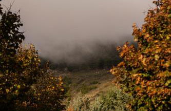 LA CASETTA SULLE NUVOLE PETRA - Foto 15