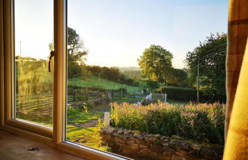 Unique Stay on an Alpaca Therapy Farm with Miniature Donkeys North Wales - Foto 10