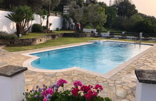 Horto Bay Studios - Foto 10