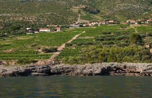 Holiday Home Biserka - Photo 32