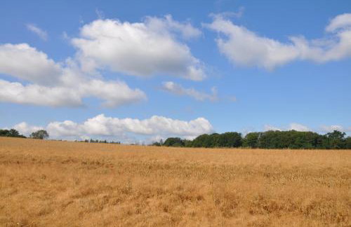 Geräumige 2-Z WOHNUNG im GRÜNEN, GARTEN, TERRASSE, RUHIG, NATUR, PHANTASTISCHER BLICK! - Foto 55