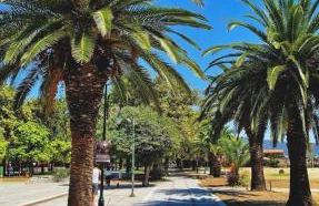 Irdis Garden - Foto 13