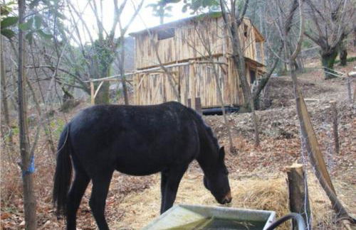 Le Gîte - La Ferme du Pouget - Foto 24