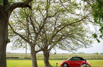 Twins Red Cabin Escape - Foto 19