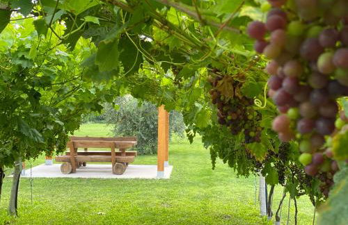 Residence Verdeblu - Foto 20