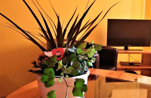 Ferienwohnungen Am Seeufer 11 - Foto 9