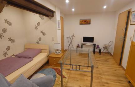 Apartment 2 Zum Kuhstall Heinrichsberg - Magdeburg - Foto 4