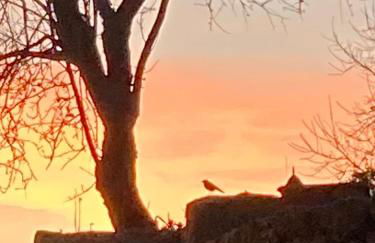 Agriturismo Is Conchisceddas - Foto 29