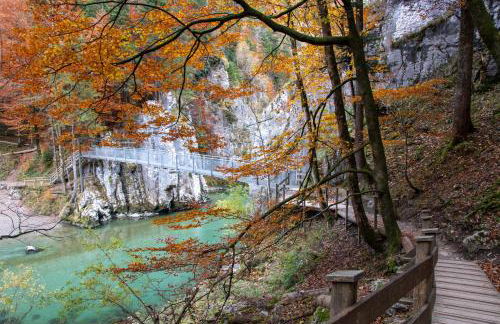 Beim Mühltaler II - Photo 36