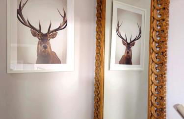 Warm & Cosy Home in Glasgow - Foto 9