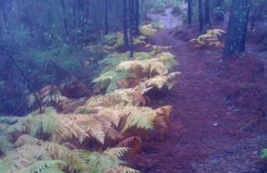 Caserío de Ovejuela - Foto 48