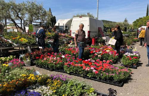 La Maison du Pont Romain - Photo 43