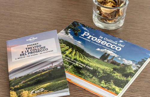 Wanderlust Apt in Villa con Piscina - 45 min Venezia - Zona Unesco - Foto 101