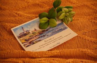 Flat 16 Frente Mar - Lindo e Confortável - STS - Salvador Temporada Studio - Foto 53