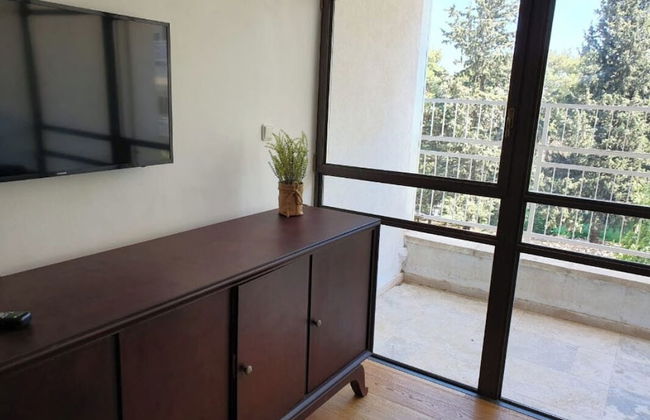 Luxurious Apartment in Jerusalem - Katamon - Photo 4