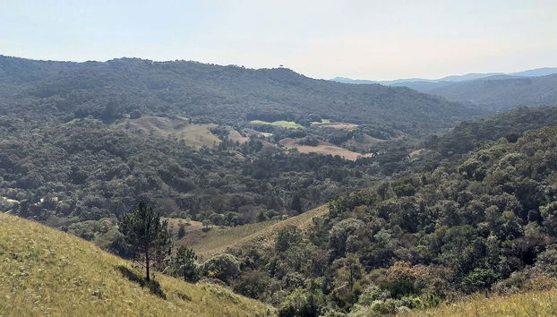Faxina Caynon or Araçatuba Peak Hike - Foto 3