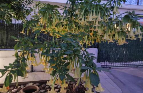 Vicky's place,near Athens airport - Foto 7