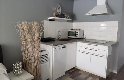 Studio Zure Ondoan - SPA et piscine chauffée - Foto 19