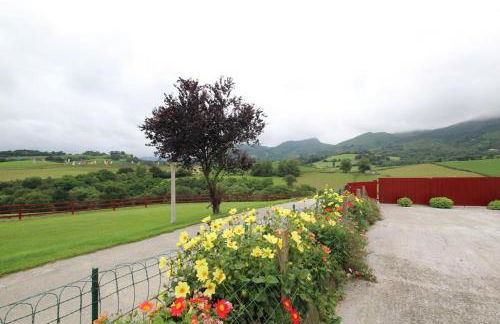 Axuri-alde - Foto 17