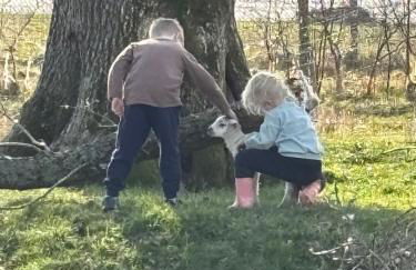 Spacious Cottage - Sleeps 4 - in the Black Mountains - Photo 13