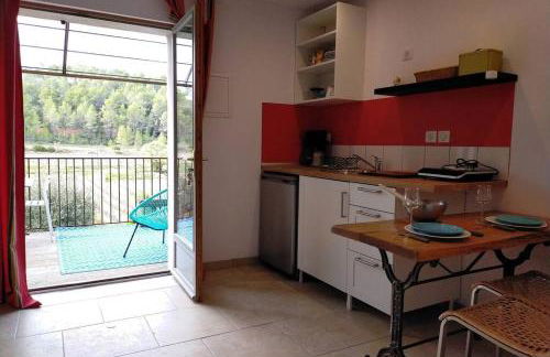 Le Figuier appart 2-3 pers en plein vignoble avec piscine privée à 30mn des gorgesdu Verdon et des plages - Foto 19