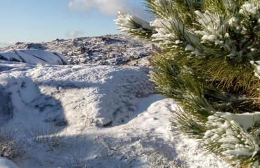 Casa Cabeço do Barragão - Photo 42