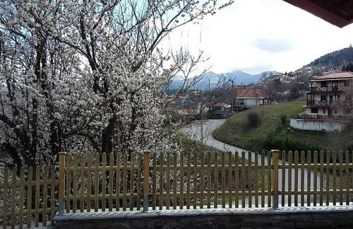 Morchella MushROOM - Foto 14